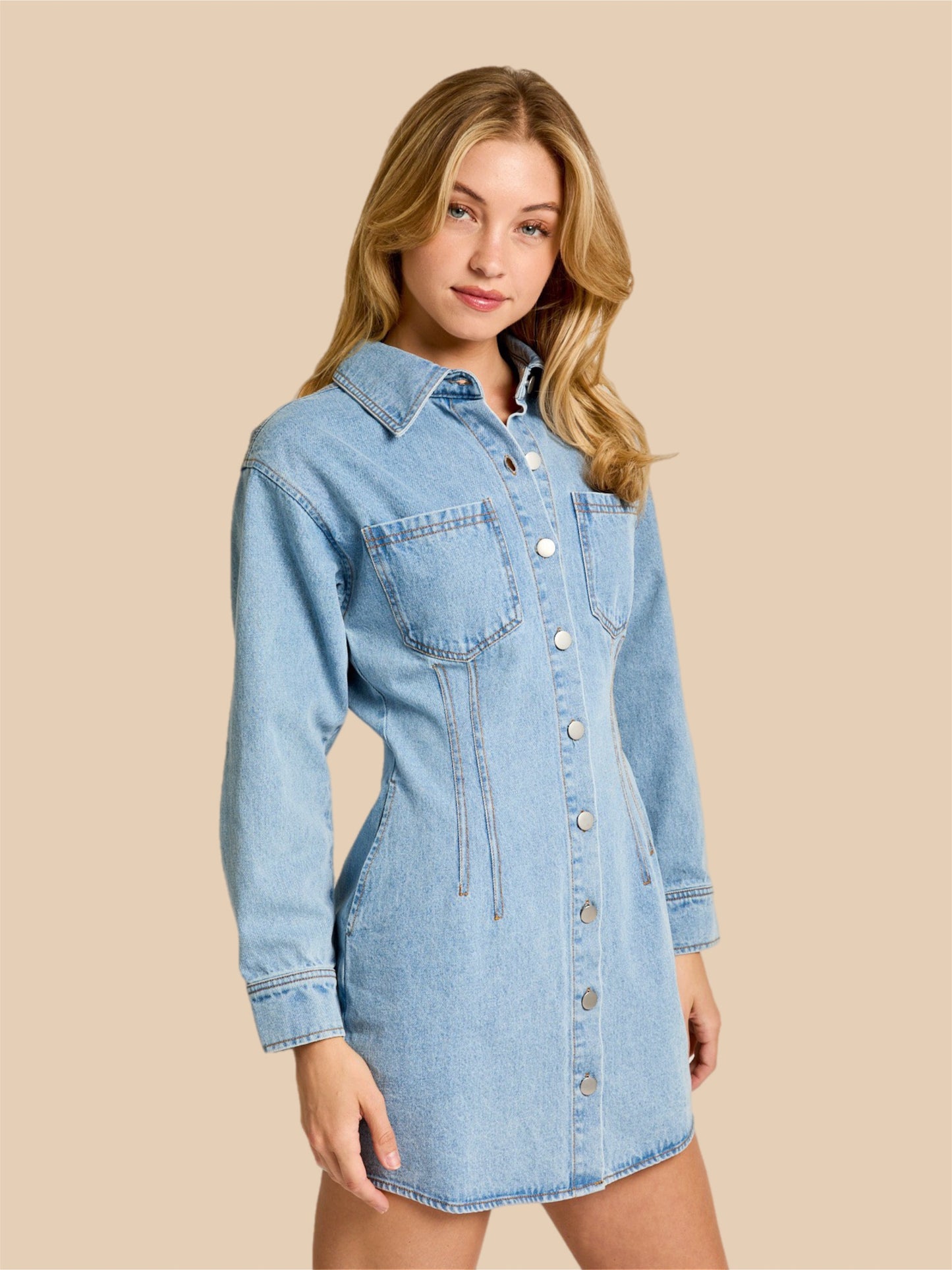 Daisy Denim Dress